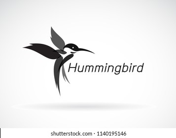 Vector of hummingbird design on white background., Wild Animals. Birds Icon., Easy editable layered vector illustration.