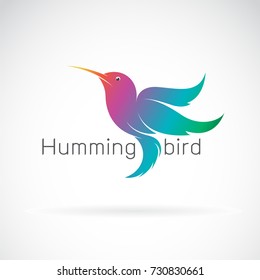 Vector of a hummingbird design on a white background. Animals.