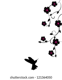 vector hummingbird and flowers