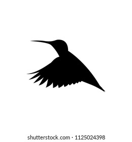 vector hummingbird, flying colibri silhouette