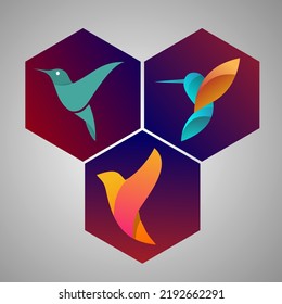 
gradiente de colibrí vectorial con colores brillantes adecuados para logotipos y todo tipo de ilustraciones de vector de diseño