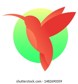 Vector hummingbird logo. Isolated colibri icon. Exotic little bird.
