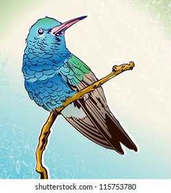 Vector hummingbird on a branch for your design