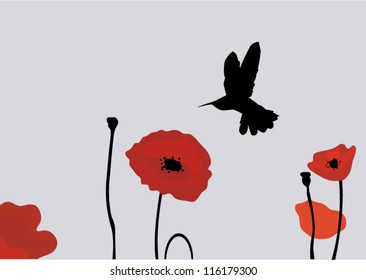 vector hummingbird and poppies