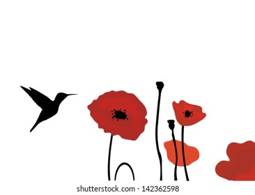 vector hummingbird and poppies