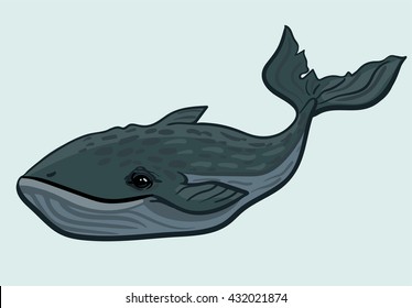 Vector humpback whale