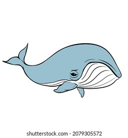 vector humpback whale on white background, isolated