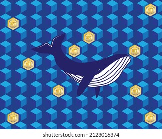 A vector of humpback whale swimming in the blockchain and NFT sign. Follow the whale in non fungible token.