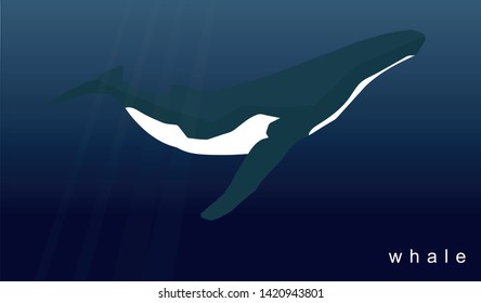 Vector of a humpback whale swimming in the deep blue ocean, with some sun rays entering the image.
