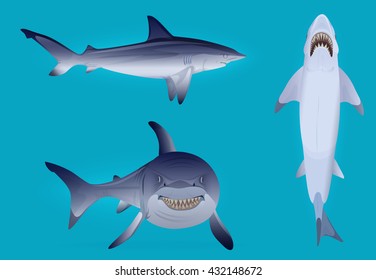 6,902 Great white shark Stock Vectors, Images & Vector Art | Shutterstock