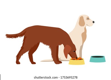 Vector hungry dog eating food from bowl isolated on white background. Domestic or homeless animal and dry crispy food feeding. Cute vector character. Veterinary, rescuing, adoption. Canine shelter