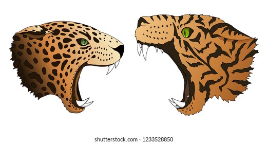 Vector hungry leopard and tiger want to eat. Predator angry heads colorful isolated on white background.