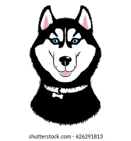 Vector Husky. Dogs of traditional head coloring with a collar. Isolated illustration on white background.