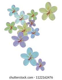 Vector hydrangea flowers color drawing