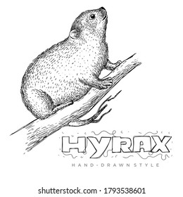 vector of hyrax on tree trunk. hand drawn animal illustrations to look realistic
