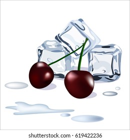 Vector ice cubes drops of water snd cherry berries