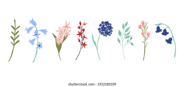 Vector icollection with wild flowers collection isolated on white background. Set of spring flowers