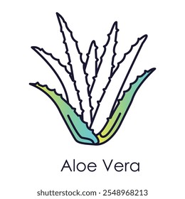 Ícone de vetor para Aloe Vera: Natural Healing and Hydration for Skin.