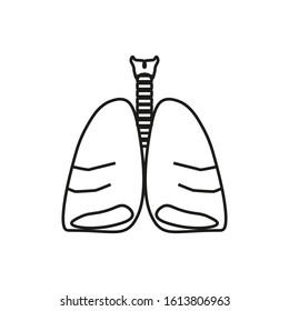 vector icon anatomy of lungs and trachea