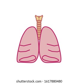 vector icon anatomy of lungs and trachea