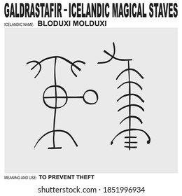 vector icon with ancient Icelandic magical staves Bloduxi Molduxi. Symbol means and is used to prevent theft