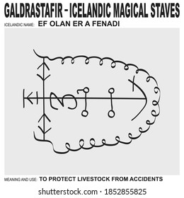 vector icon with ancient Icelandic magical staves Ef Olan Er A Fenadi. Symbol means and is used to protect livestock from accidents