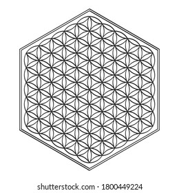 vector icon with ancient symbol flower of life