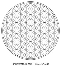 vector icon with ancient symbol flower of life
