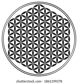 vector icon with ancient symbol flower of life
