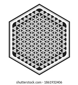 vector icon with ancient symbol flower of life