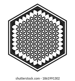 vector icon with ancient symbol flower of life