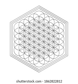 vector icon with ancient symbol flower of life for your project
