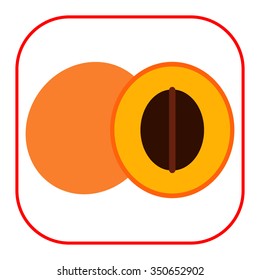 Vector icon of apricot and cut apricot half