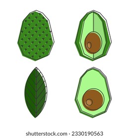 Vector icon avocado fruit set vector