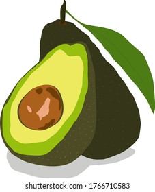 Vector icon of avocado isolated on white background. Eating healthy and fitness. Vector illustration