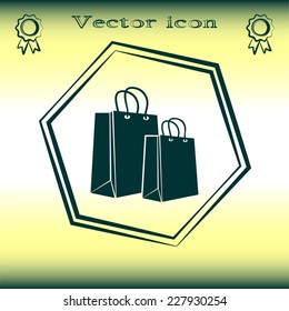 Vector icon bag