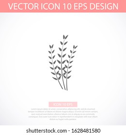 Vector icon barley, design illustration for web barley. Flat style barley corn
