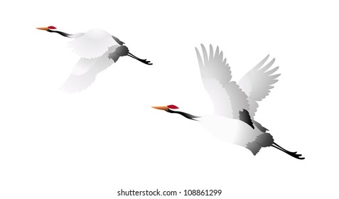 vector icon birds