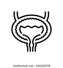 Vector icon for bladder