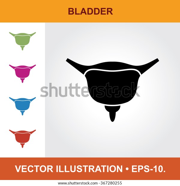 Vector Icon Bladder Title Small Multicolored Stock Vector Royalty