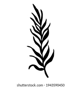 Vector icon branch with leaves. Isolated vector illustration botanical element. Doodle style, primitive. Black outline, silhouette drawn by hand.