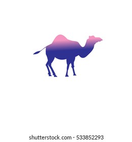 Vector icon of a camel on a white background.