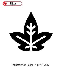 Vector icon of Canadian autumn leaf, Maple leaf icons. Vector illustration