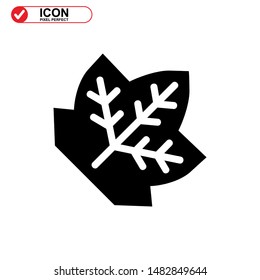 Vector icon of Canadian autumn leaf, Maple leaf icons. Vector illustration