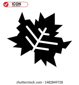 Vector icon of Canadian autumn leaf, Maple leaf icons. Vector illustration