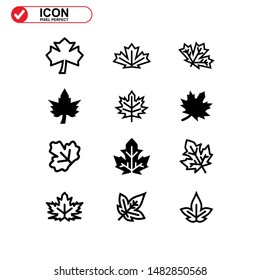Vector icon of Canadian autumn leaf, Maple leaf icons. Vector illustration