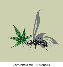 vector icon of cannabis and ant