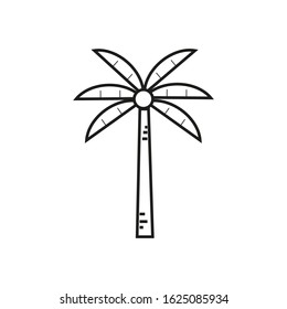 Vector icon, of Caribbean coconuts palm