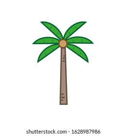 Vector icon, of Caribbean coconuts palm