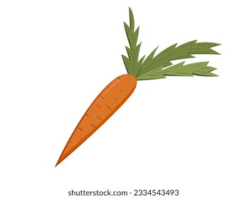 Icono vector de una zanahoria, aislado en un fondo blanco.